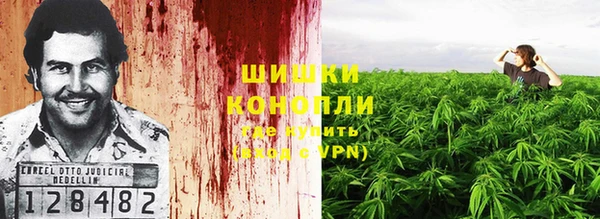 мяу мяу мука Аркадак