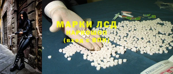 мяу мяу мука Аркадак