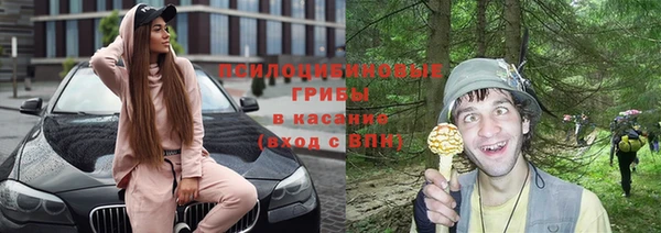 дживик Арсеньев
