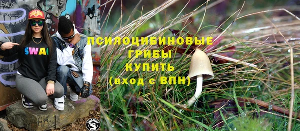 мяу мяу мука Аркадак